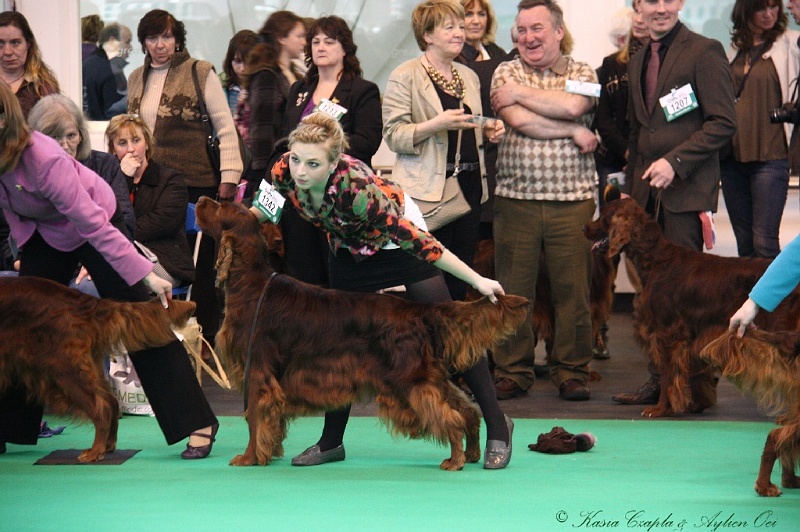 Crufts2011 731.jpg